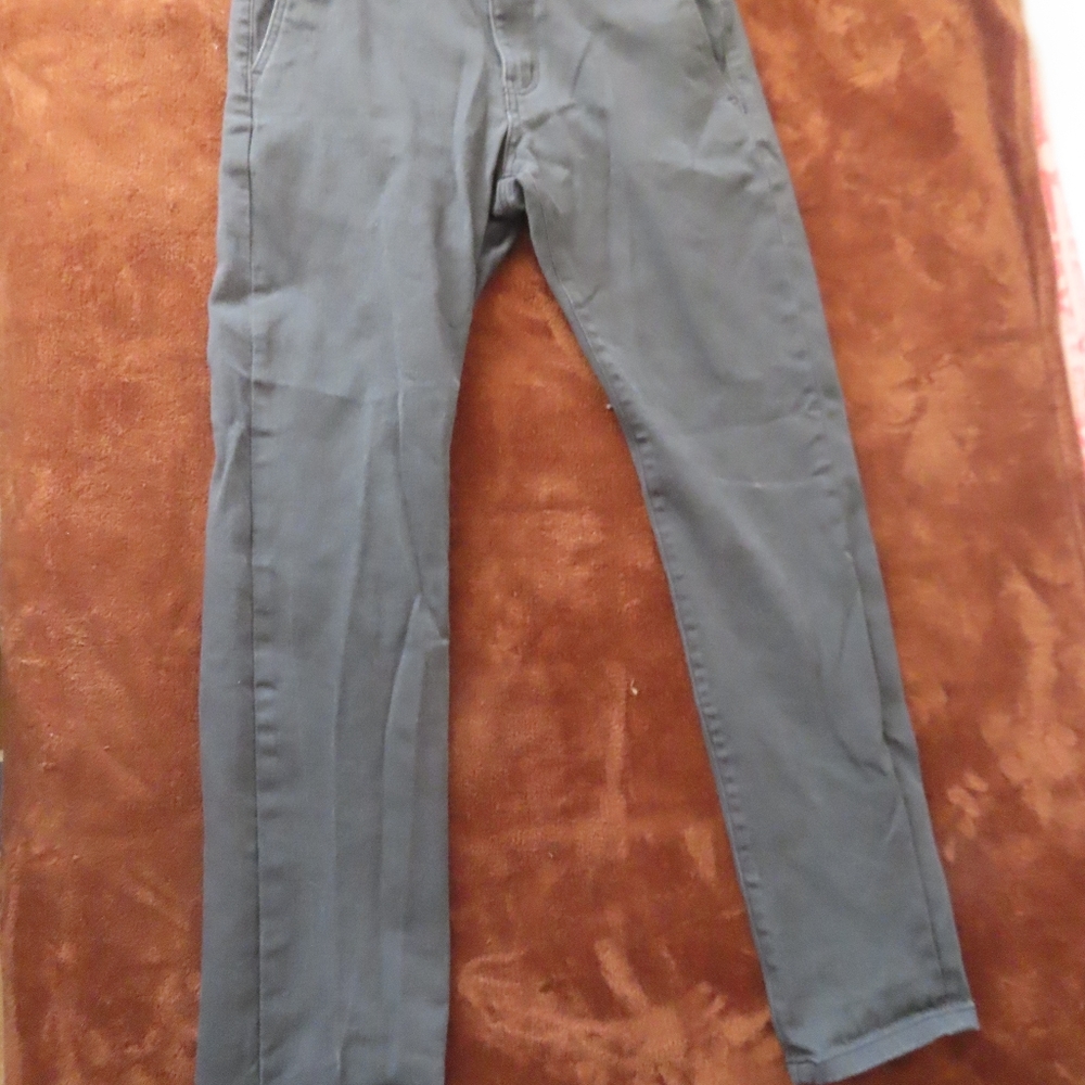 browny standard pants grey XL (33x30 1/3)